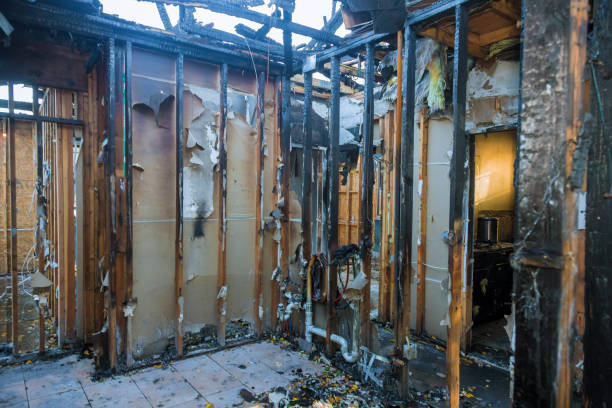 Professional Smoke Damage Removal technician working in Morada, CA
